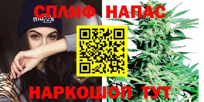 не бодяженный Моздок