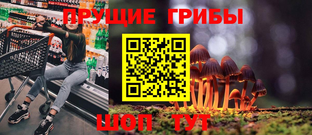 Псилоцибиновые грибы Psilocybe Заринск