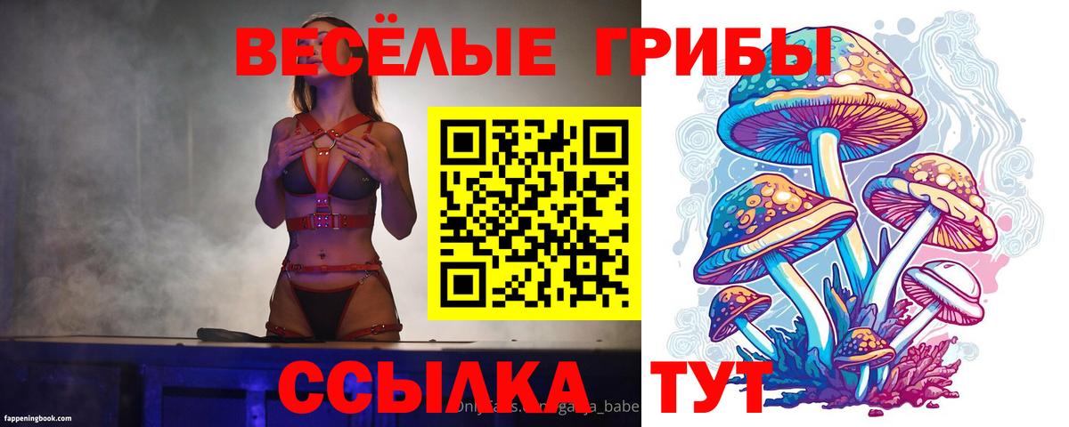 Галлюциногенные грибы GOLDEN TEACHER  Вход с VPN  где купить наркотик  Заринск 